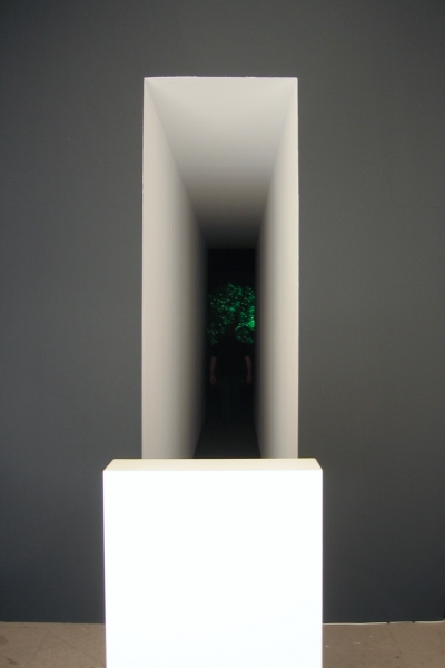 The Tree of Knowledge — © N. Völzow