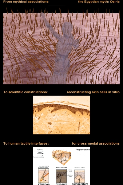 ESkin — © N. Völzow