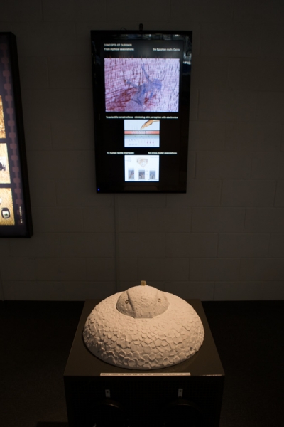 ESkin — © N. Völzow