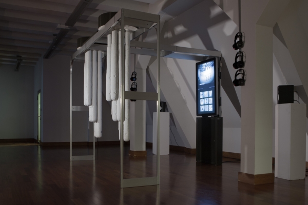 AURALROOTS — © N. Völzow