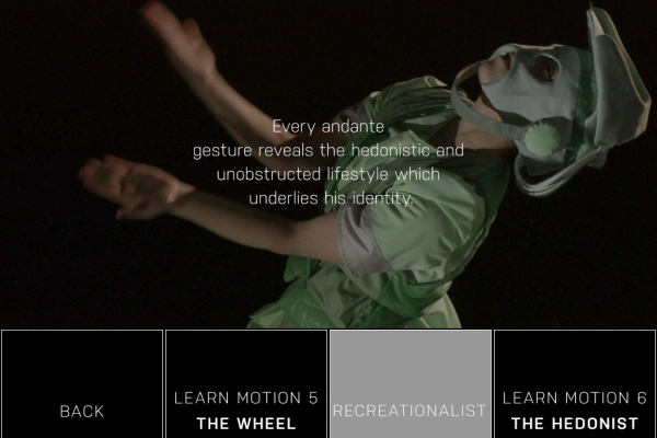 Indivicracy - Dance of the Peregrine — © N. Völzow