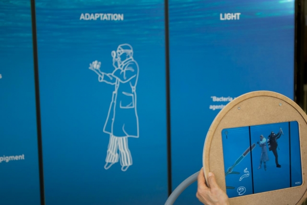 JellyEyes — © N. Völzow