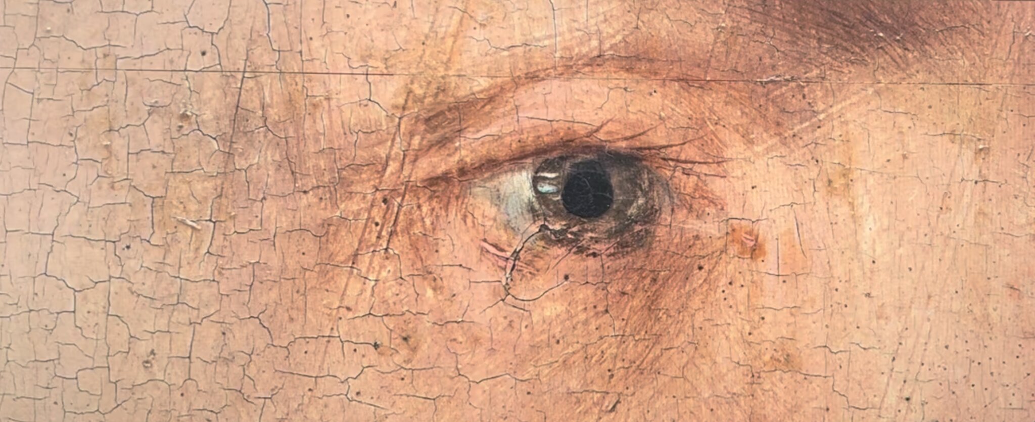 Henry VIII Trifold (III) — © N. Völzow